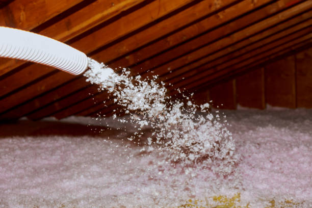 Best Types of Insulation in Livingston, LA