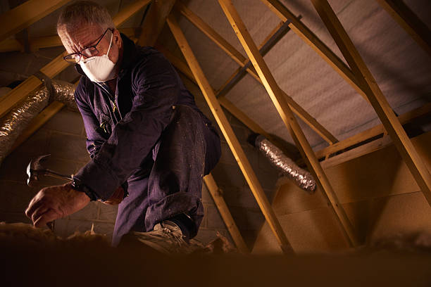 Best Insulation Installation Services in Livingston, LA